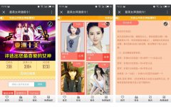 <b>微信投票系统</b>
