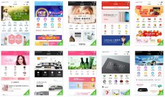 <b>小程序企业微官网设计开发1000元/套</b>