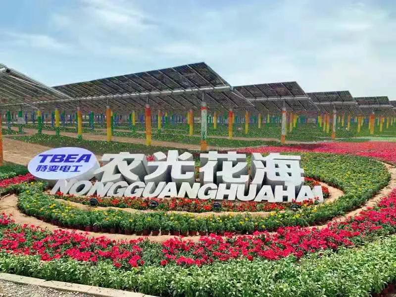 光伏+科技农业，助力乡村振兴